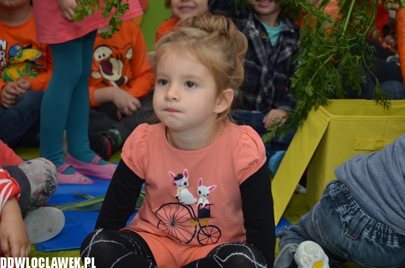 Dzień Marchewki w przedszkolu akademickim