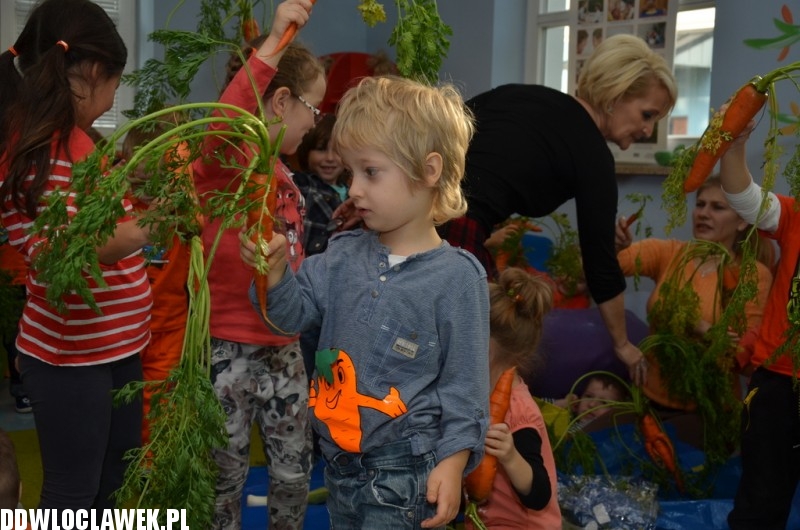 Dzień Marchewki w przedszkolu akademickim