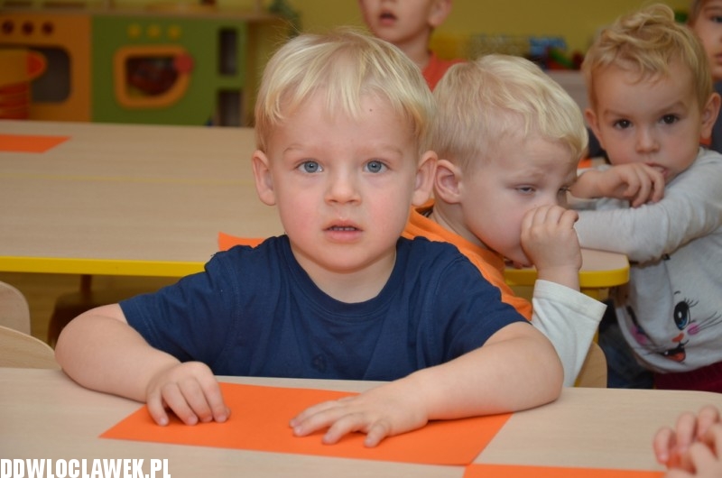 Dzień Marchewki w przedszkolu akademickim