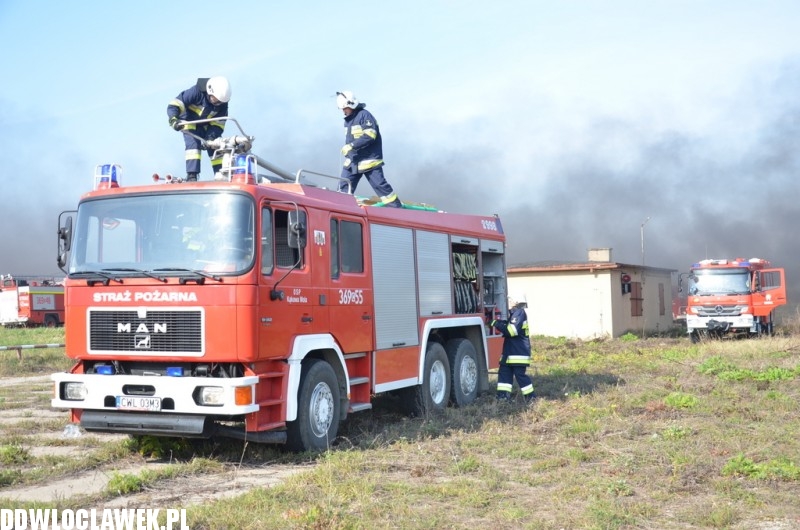 Ćwiczenia obronne Kobra w Brześciu Kujawskim