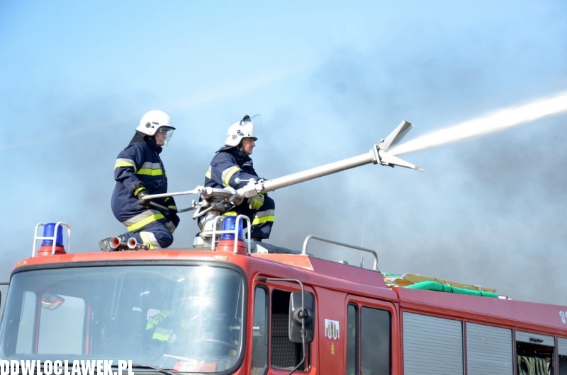 Ćwiczenia obronne Kobra w Brześciu Kujawskim