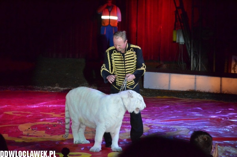Cyrkowe show Fabryka śmiechu