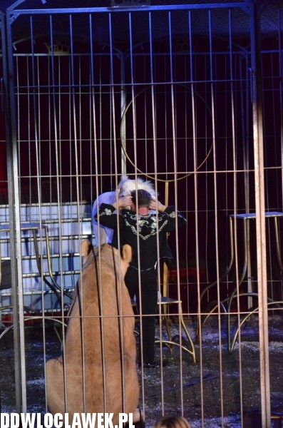 Cyrkowe show Fabryka śmiechu
