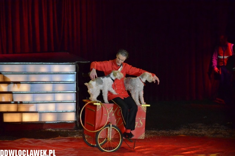 Cyrkowe show Fabryka śmiechu