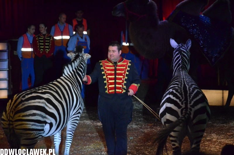 Cyrkowe show Fabryka śmiechu