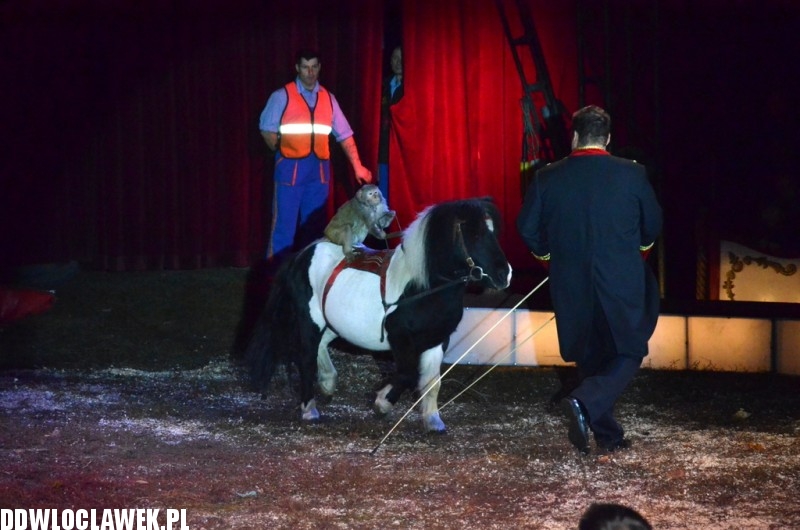 Cyrkowe show Fabryka śmiechu