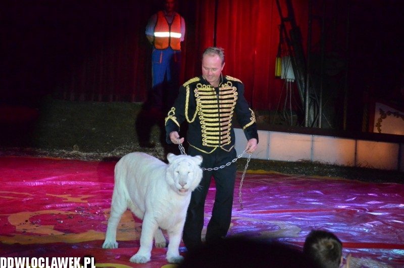 Cyrkowe show Fabryka śmiechu