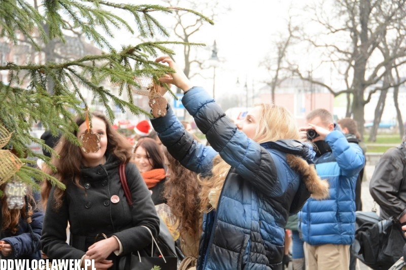 Wigilia miejska przed Urzędem Miasta