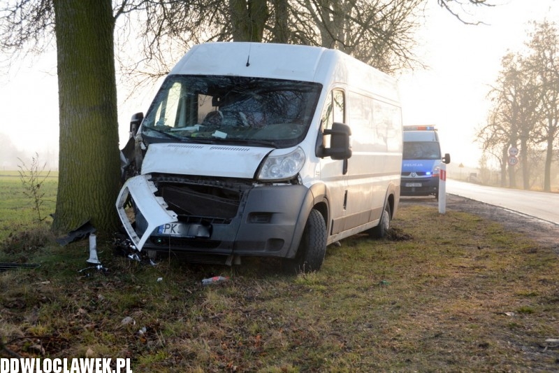 Fiat Ducato uderzył w drzewo