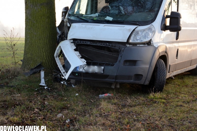Fiat Ducato uderzył w drzewo