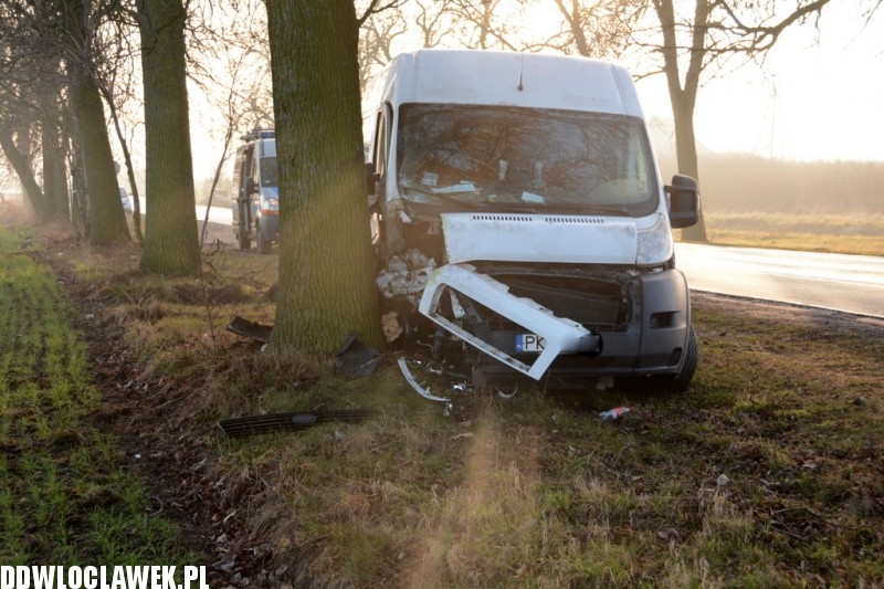 Fiat Ducato uderzył w drzewo