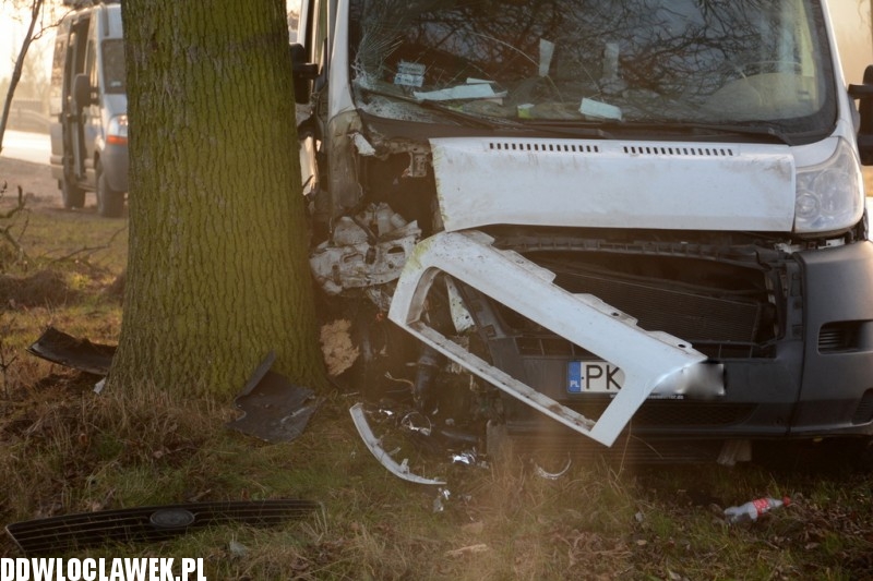 Fiat Ducato uderzył w drzewo