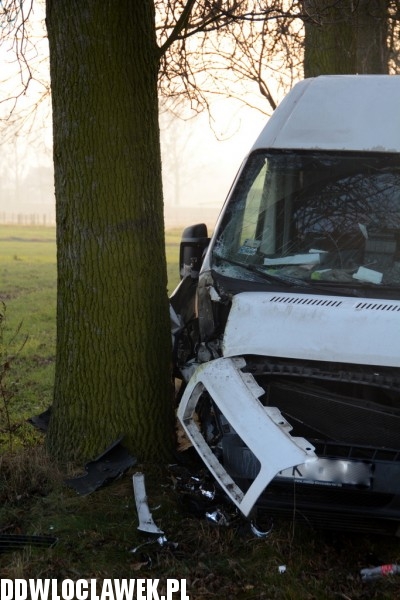 Fiat Ducato uderzył w drzewo