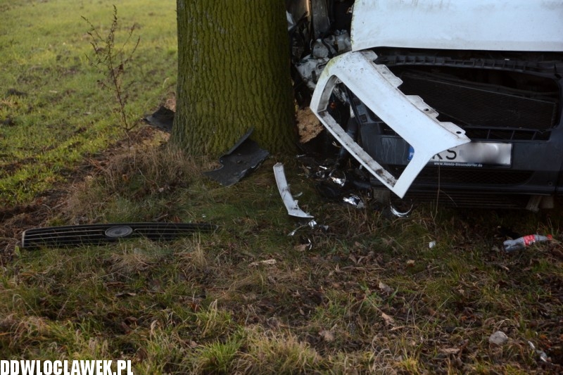 Fiat Ducato uderzył w drzewo