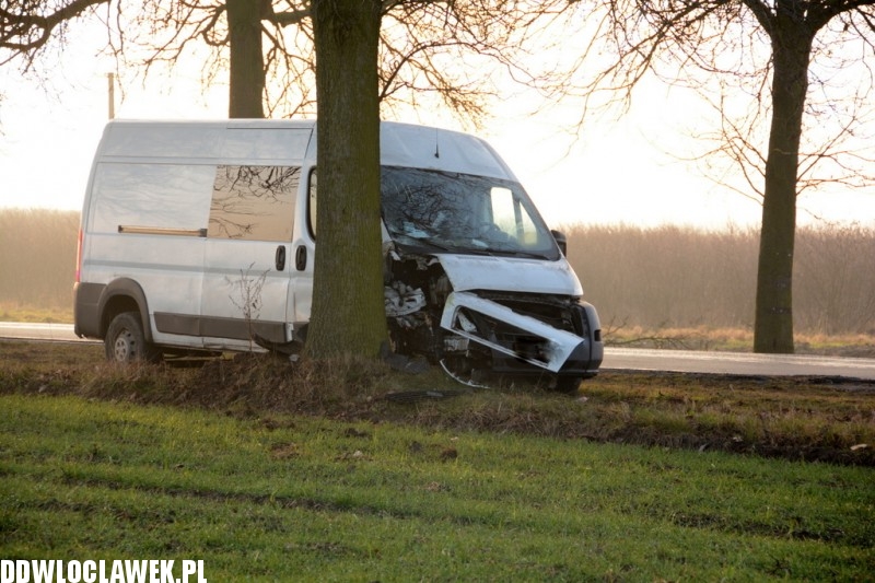 Fiat Ducato uderzył w drzewo