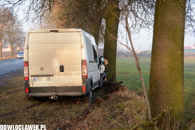 Fiat Ducato uderzył w drzewo