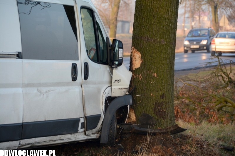 Fiat Ducato uderzył w drzewo