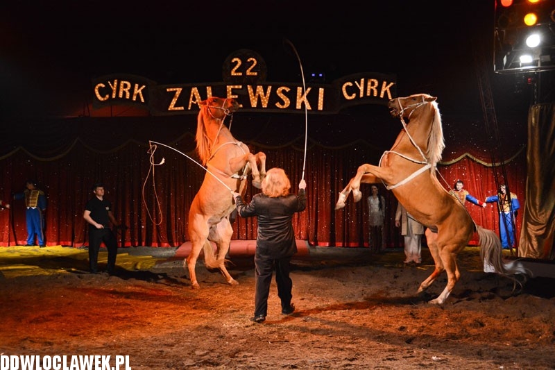Cyrk Zalewski wystąpił we Włocławku