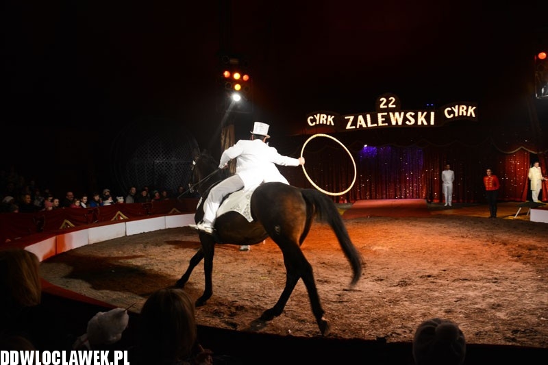Cyrk Zalewski wystąpił we Włocławku