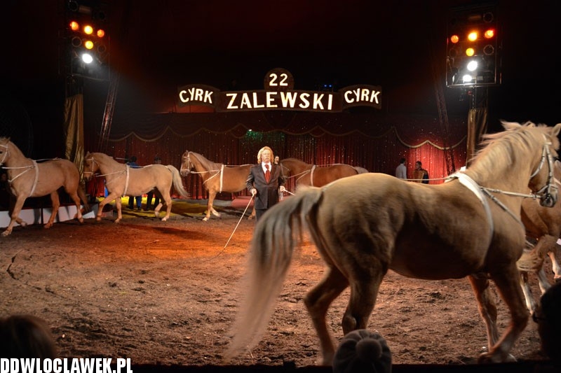 Cyrk Zalewski wystąpił we Włocławku