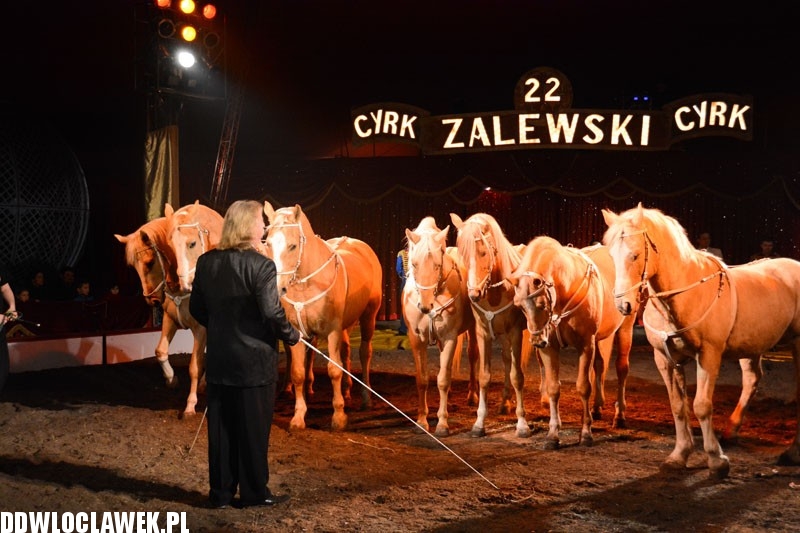 Cyrk Zalewski wystąpił we Włocławku