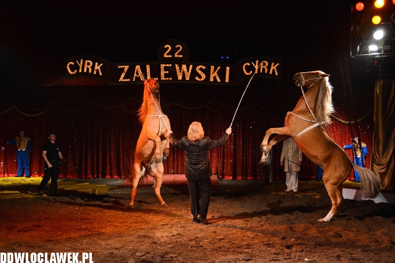 Cyrk Zalewski wystąpił we Włocławku