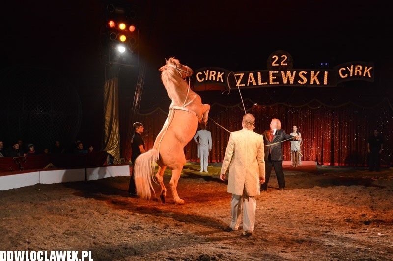 Cyrk Zalewski wystąpił we Włocławku