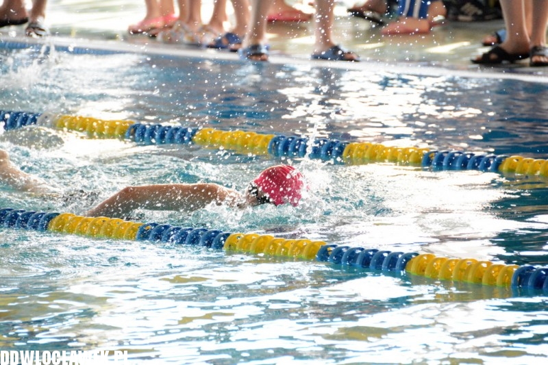 Grand Prix Włocławka w pływaniu