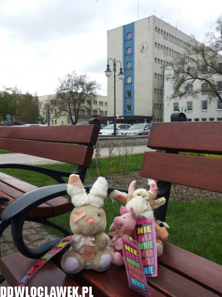 Ponad 100 pluszaków na włocławskich ulicach