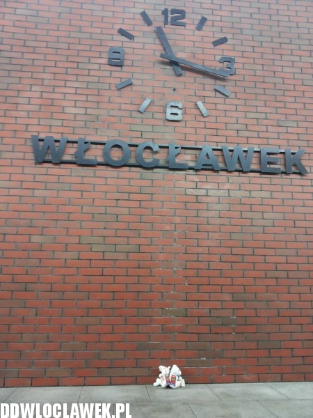 Ponad 100 pluszaków na włocławskich ulicach