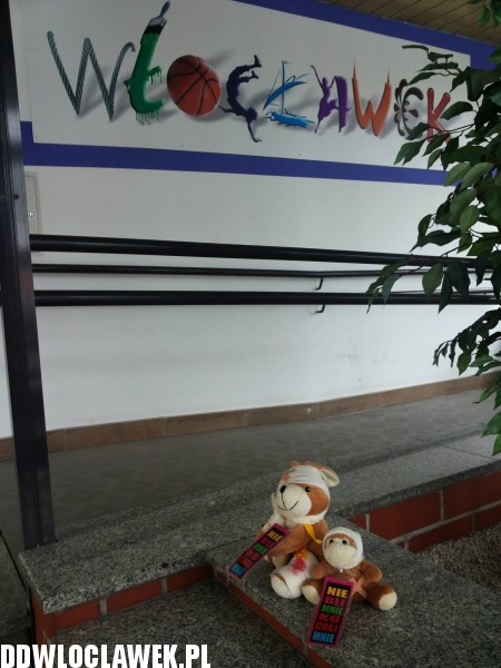 Ponad 100 pluszaków na włocławskich ulicach