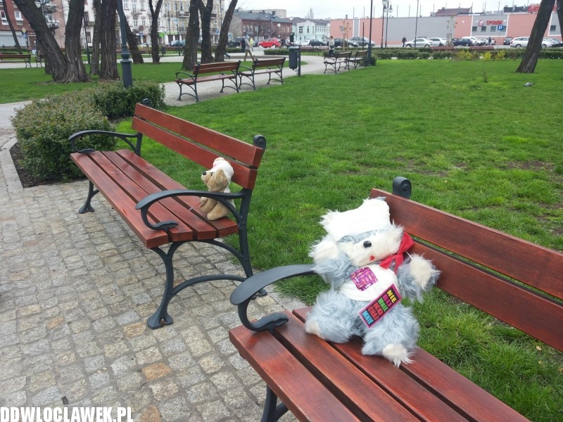 Ponad 100 pluszaków na włocławskich ulicach