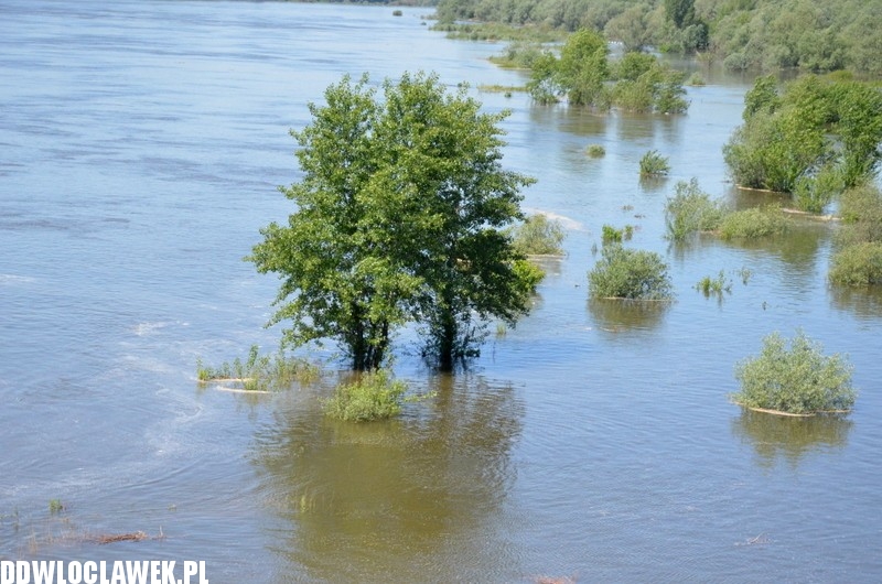Stan wody w Wiśle na wysokości mostu