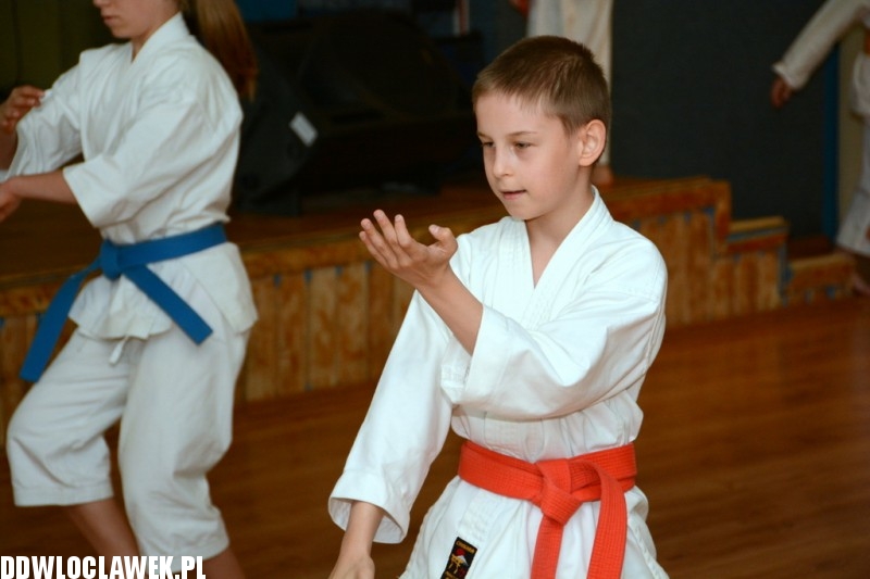 Warsztaty karate dla dzieci