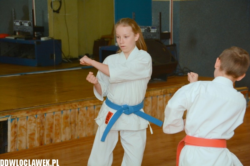 Warsztaty karate dla dzieci