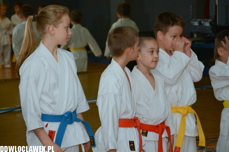 Warsztaty karate dla dzieci