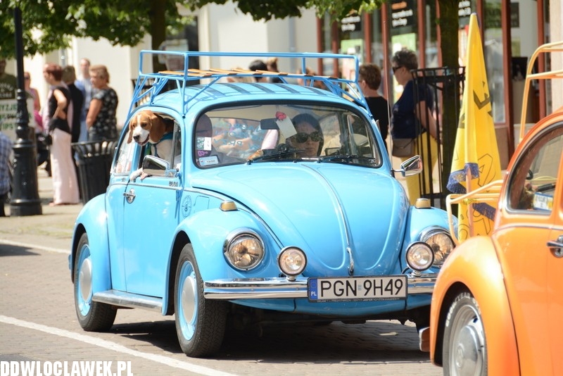 Parada garbusów ulicami Włocławka