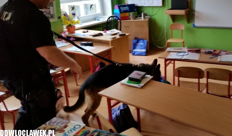 Ewakuacja szkoły w centrum Włocławka