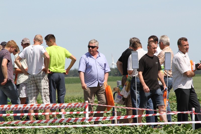 Warsztaty dot. uprawy buraka cukrowego