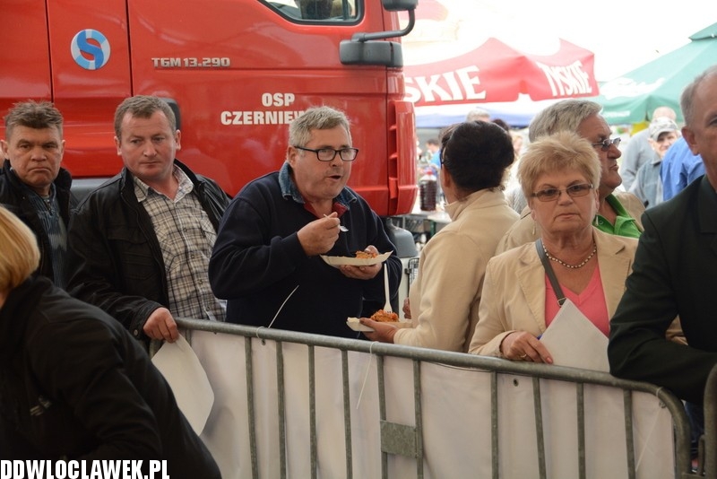 Piknik rodzinny w Czerniewicach