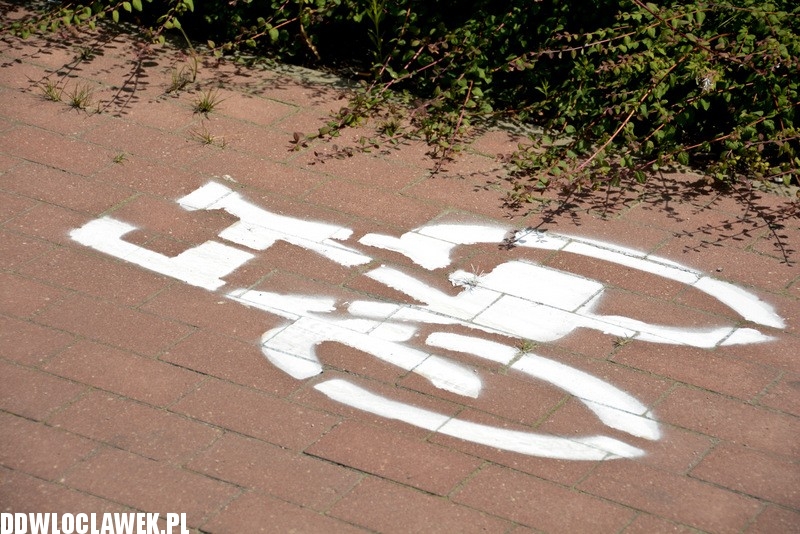 Sezon rowerowy cykliści w pełni wykorzystują