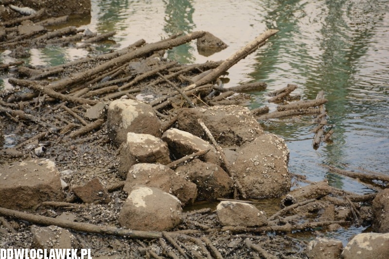 Niecodzienne widoki nad Wisłą