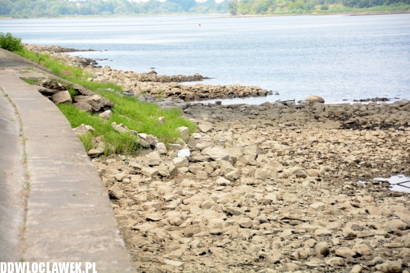 Niecodzienne widoki nad Wisłą