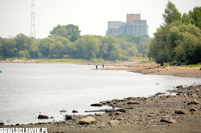 Niecodzienne widoki nad Wisłą