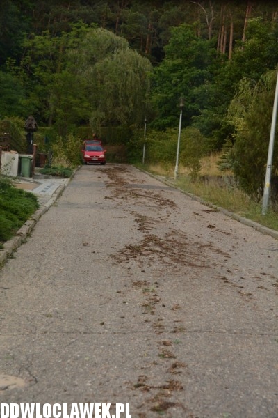 Ulica Willowa po oberwaniu chmury