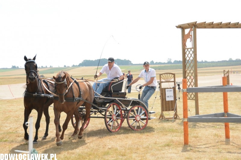 Zawody w powożeniu zaprzęgami