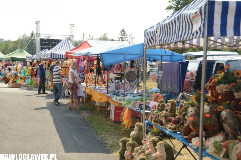 Manewry strażackie w Choceniu