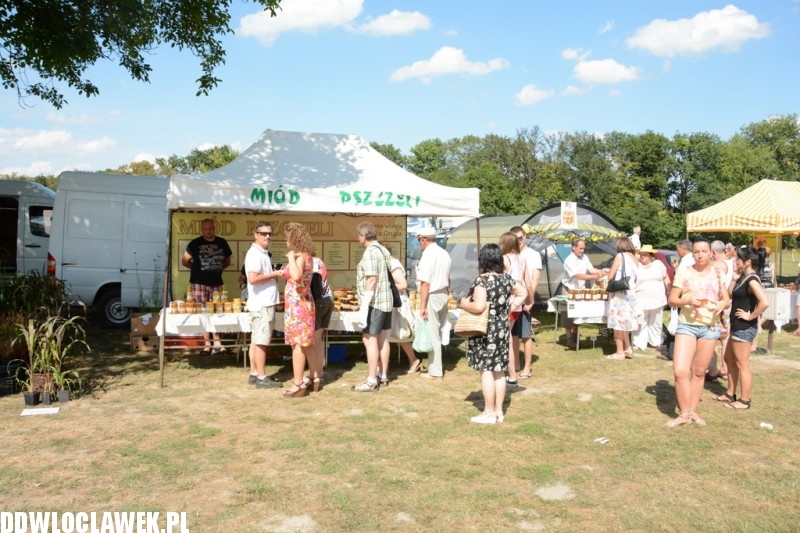 Miodowe lato w Zarzeczewie