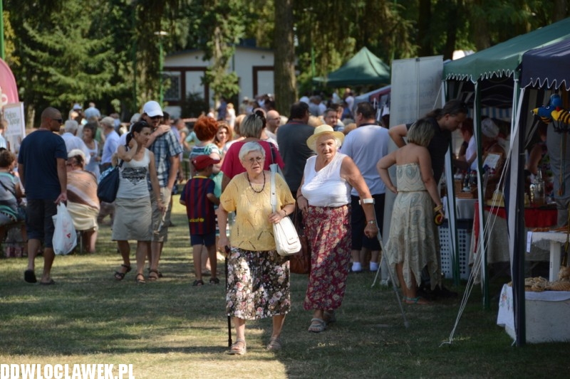 Miodowe lato w Zarzeczewie