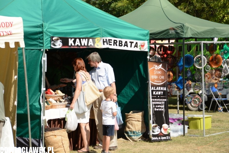 Miodowe lato w Zarzeczewie